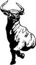 Bulls mascot