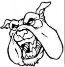 Bulldogs mascot