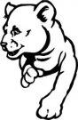 Cougars mascot
