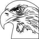 Hawks mascot