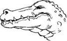 Gators mascot