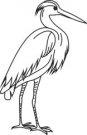 Herons mascot