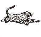 Leopards mascot
