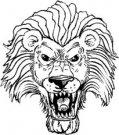 Lions mascot