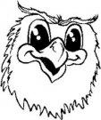 Owls mascot