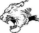 Panthers mascot