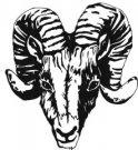 Rams mascot