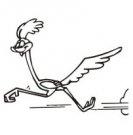 RoadRunners mascot