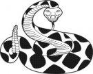 Pythons mascot
