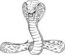 Cobras mascot