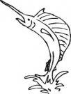 Swordfish mascot
