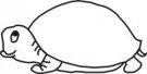 Turtles mascot