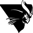 Vikings mascot