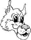 Wolves mascot