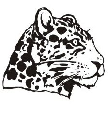 image leopard-07-jpg